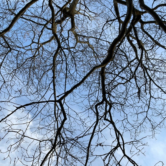 Meet your Posher, Klancy - Picture 7 of 12